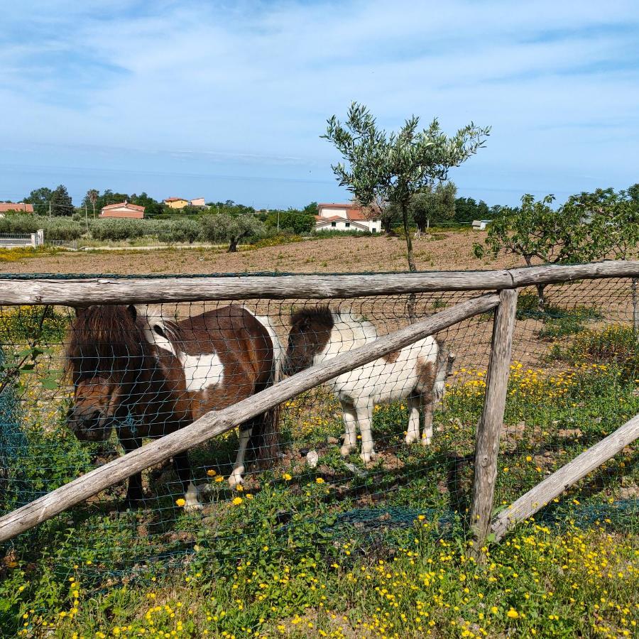 Agriturismo Agri Armonia ซานลูซิโด ภายนอก รูปภาพ