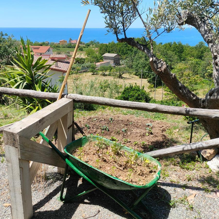 Agriturismo Agri Armonia ซานลูซิโด ภายนอก รูปภาพ