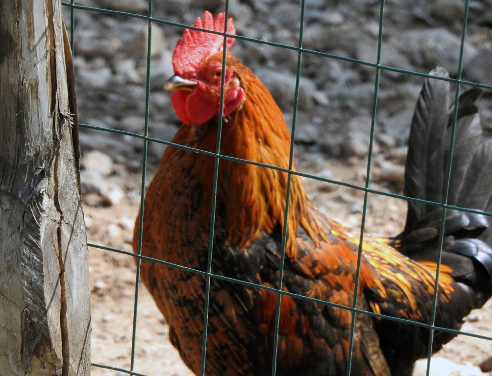 Agriturismo Agri Armonia ซานลูซิโด ภายนอก รูปภาพ