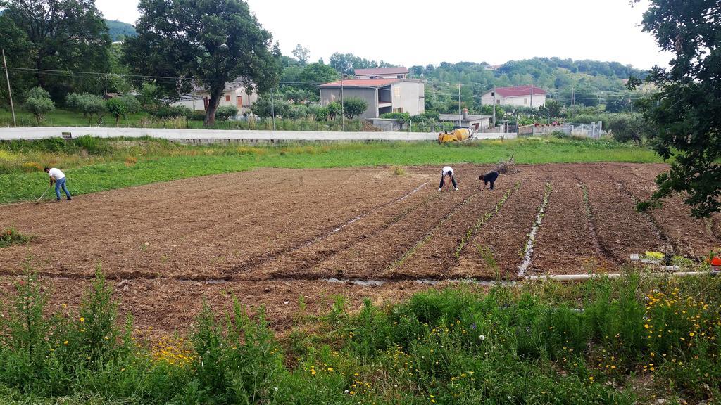 Agriturismo Agri Armonia ซานลูซิโด ภายนอก รูปภาพ