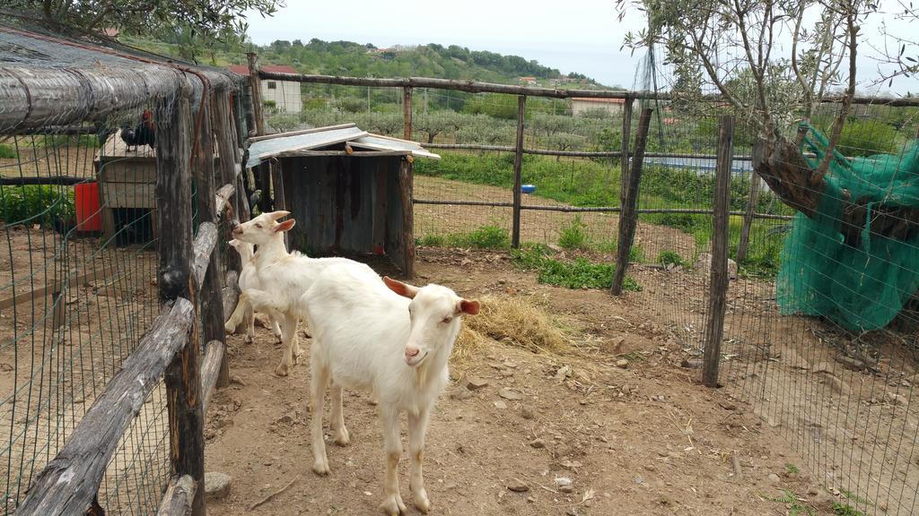 Agriturismo Agri Armonia ซานลูซิโด ภายนอก รูปภาพ